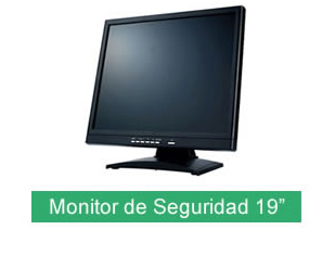 Monitor de Seguridad 19